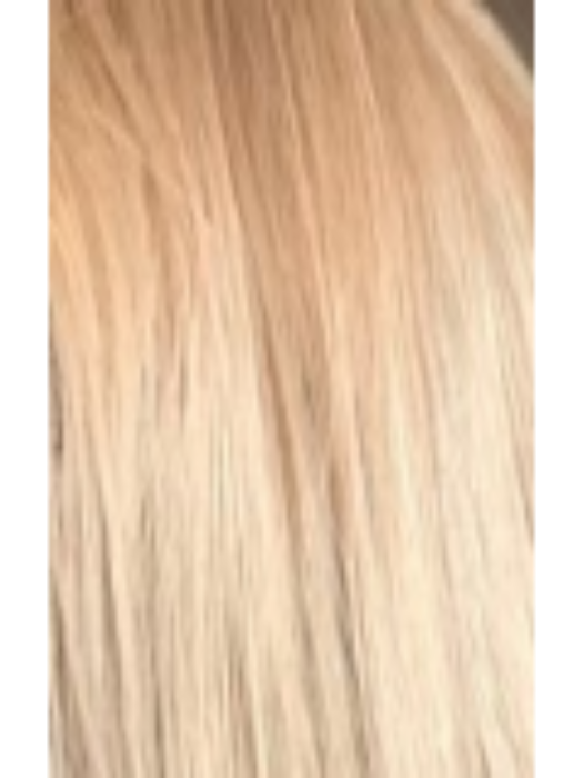 Audrey | Lace Front Remy Human Hair(Mono Top) Wig by New Image