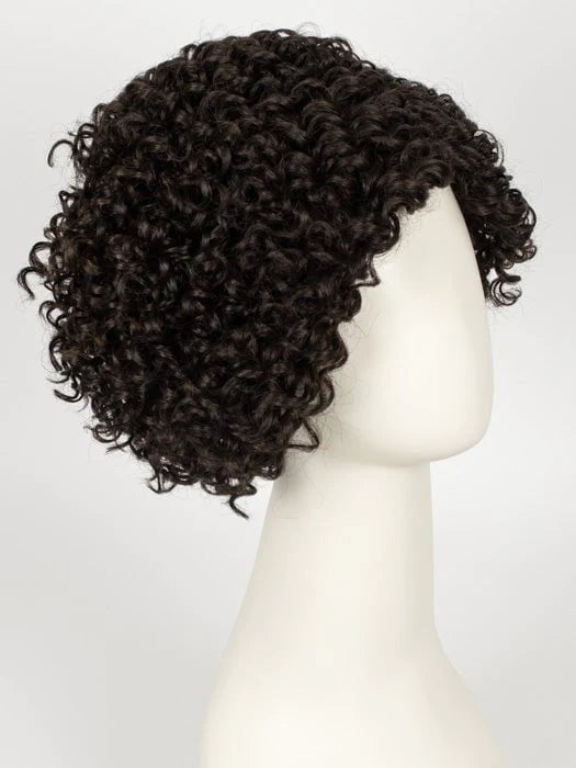 Aniyah | Heat Friendly Extended Synthetic Lace Front Wig (Mono Part) by Kim Kimble