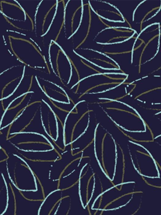 Softie Accent | Jon Renau