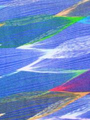 Softie Wrap Print | Jon Renau