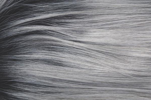 Flawless | Synthetic (Mono Part) Heat Defiant Wig by René of Paris
