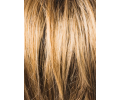 Gwen | Synthetic (Mono Top) Wig by New Image