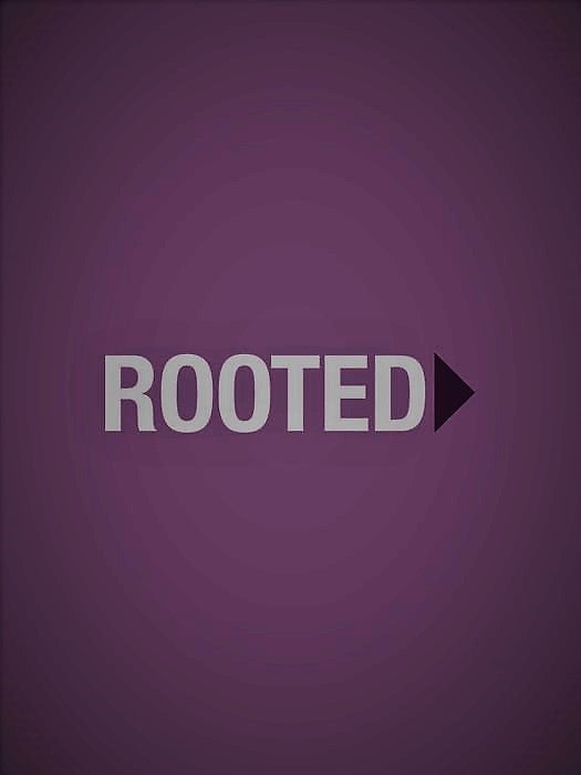 Apart Mono | Synthetic Lace Front (Mono Top) Wig by Ellen Wille