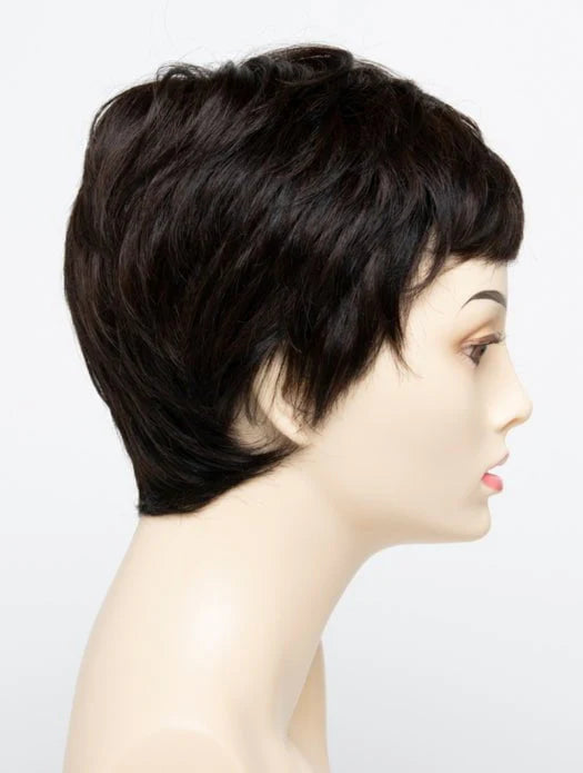 Fiona | Human Hair/Synthetic Blend Lace Front (Mono Crown) Wig by Envy