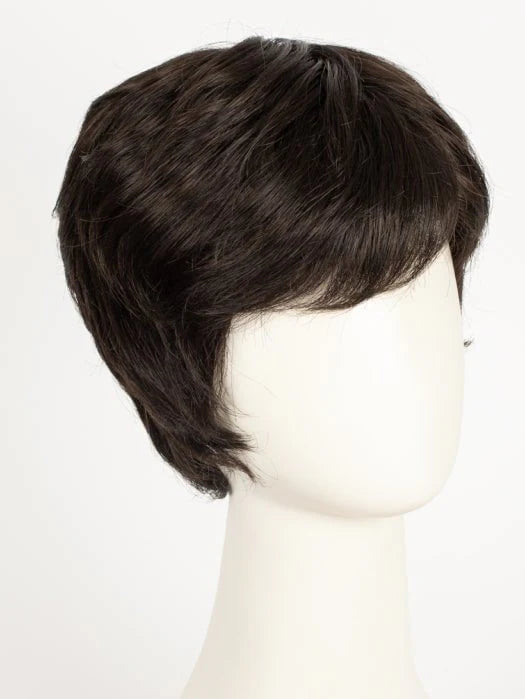 Risk Comfort | Synthetic Lace Front (Hand-Tied) Wig by Ellen Wille