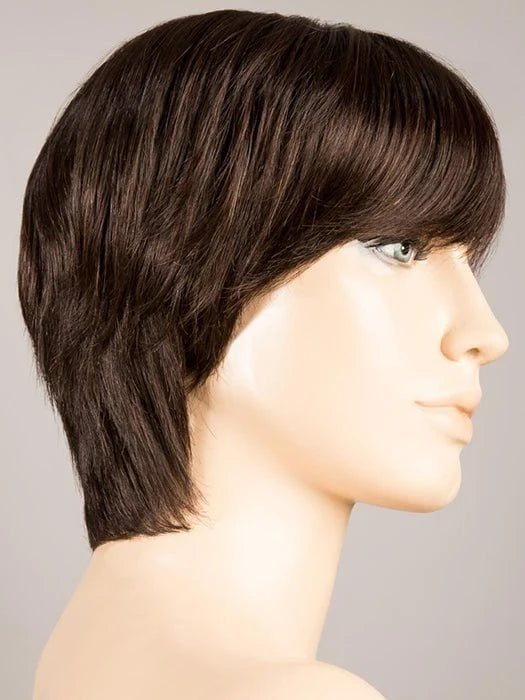 Award | Remy Human Hair, Lace Front (Hand-Tied) Wig by Ellen Wille