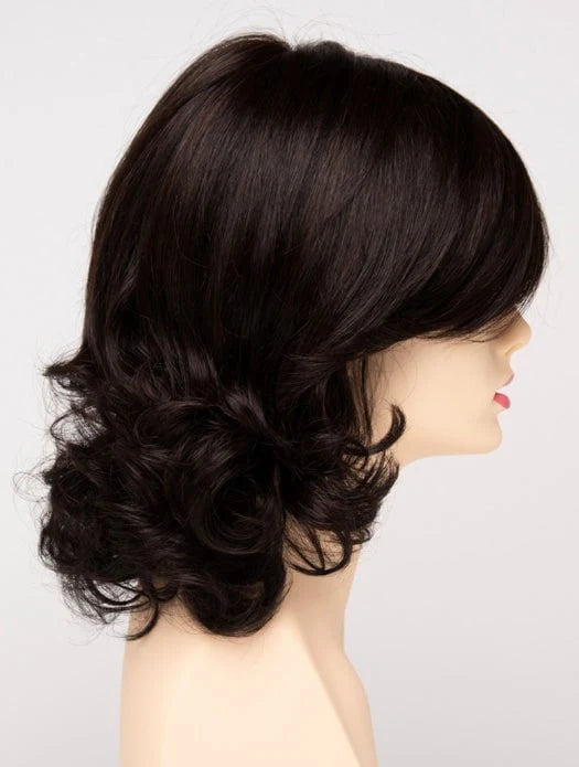 Danielle | Human Hair/Synthetic Blend Lace Front (Mono Top) Wig by Envy