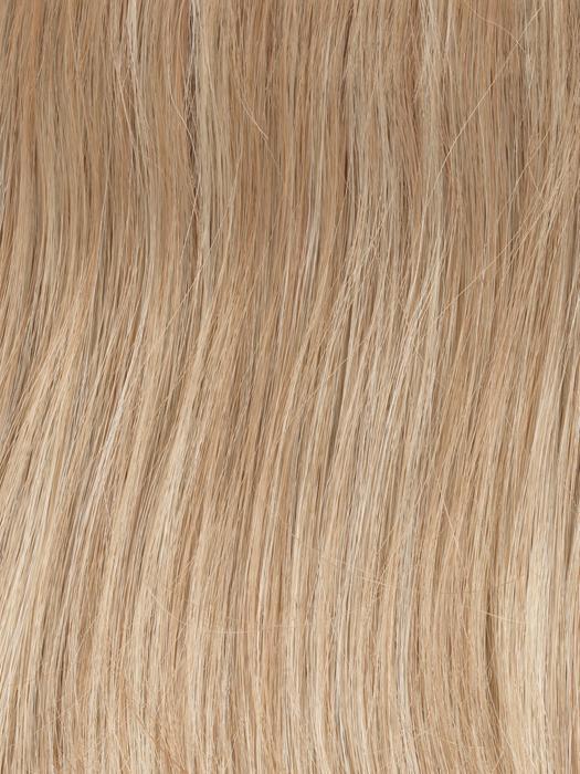 Under Cover Halo | Heat Friendly Synthetic Halo (Hair Piece) by Gabor