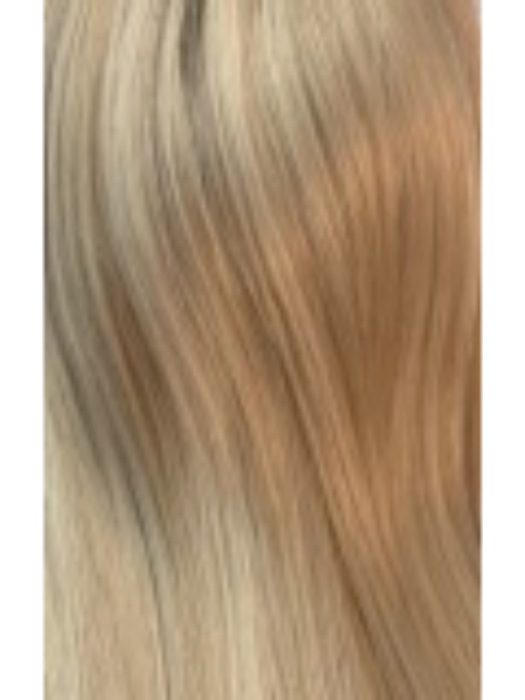 Audrey | Lace Front Remy Human Hair(Mono Top) Wig by New Image
