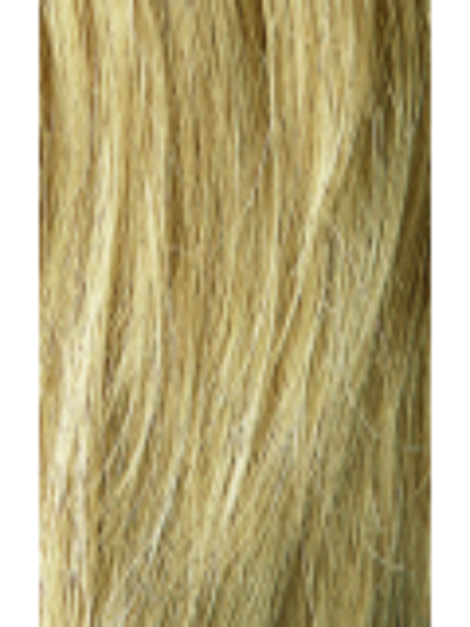 Audrey | Lace Front Remy Human Hair(Mono Top) Wig by New Image